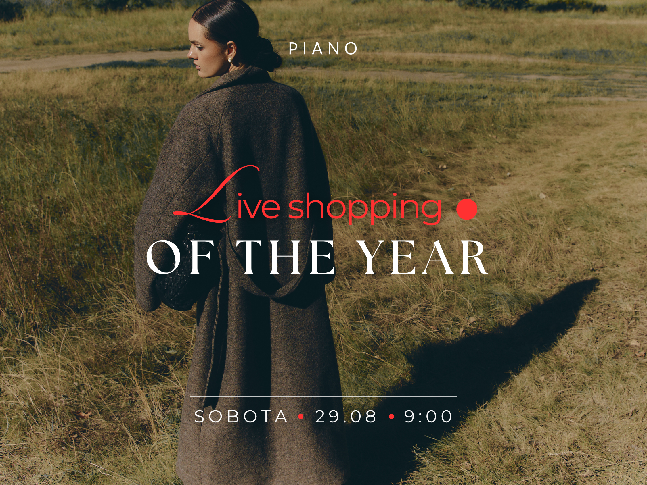 Newsletter header